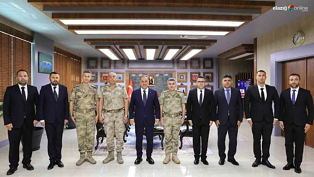 Bingöl Karayolundaki Çanta İçindeki Bebek Cinayetinde 20 Yıllık Sır Perdesi Aralandı