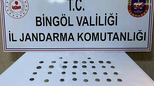 Bingöl'de 42 adet sikke ele geçirdi