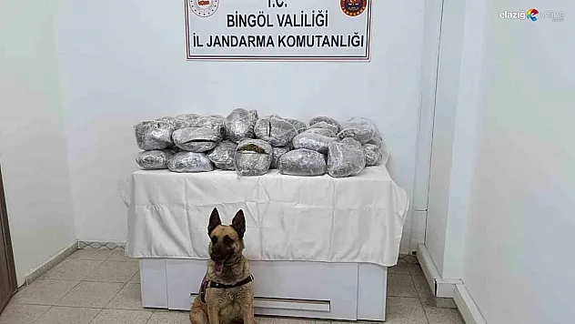 Bingöl'de 49 kilo esrar ele geçirildi