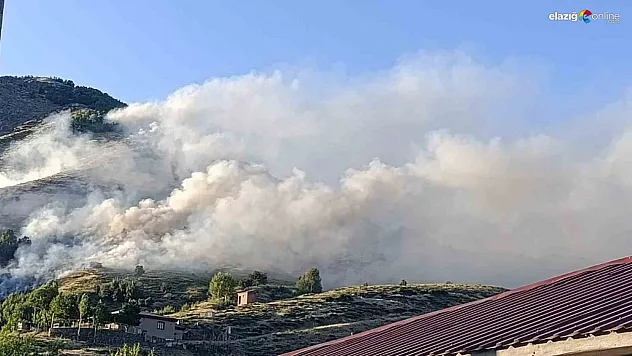 Bingöl'de ağaçlık alanda yangın