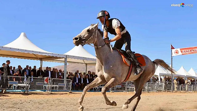 Bingöl'de at yarışları renkli görüntüler oluşturdu