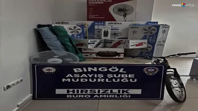Bingöl'de çaldığı ürünleri internet üzerinden satan şüpheli tutuklandı