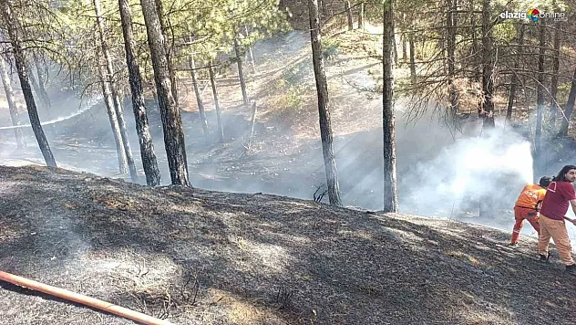 Bingöl'de çıkan orman yangını büyümeden söndürüldü