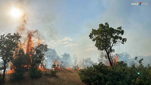 Bingöl'de çıkan orman yangınları söndürüldü