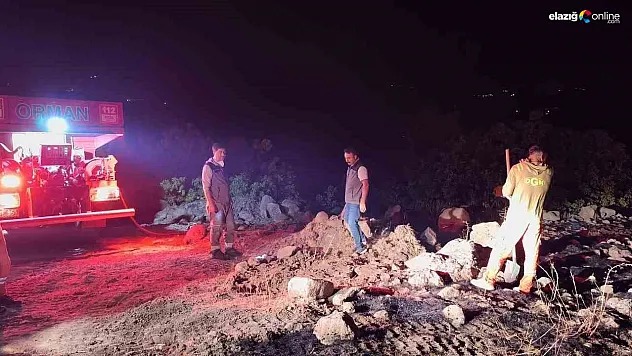 Bingöl'de çıkan orman yangınları kontrol altına alındı