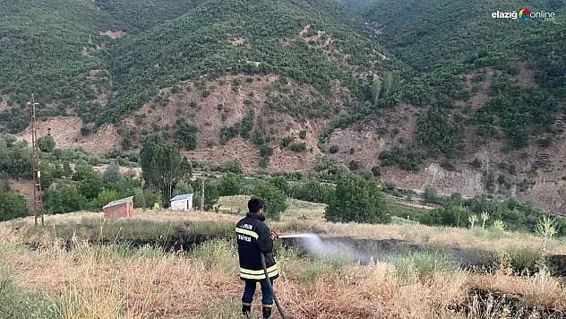 Bingöl'de çıkan örtü yangını söndürüldü