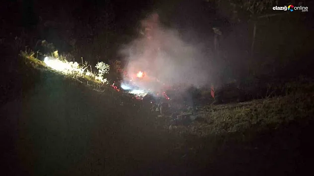 Bingöl'de çıkan yangın söndürüldü