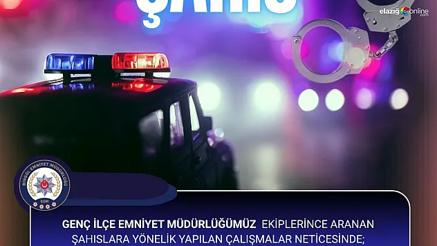 Bingöl'de hakkında 4 yıl kesinleşmiş hapis cezası bulunan şahıs yakalandı