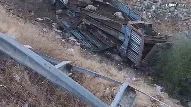 Bingöl'de hayvan taşıyan kamyon şarampole yuvarlandı