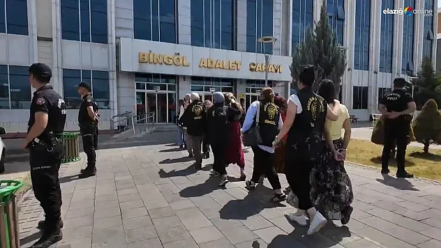 Bingöl'de hırsızlık operasyonu: 10 gözaltı
