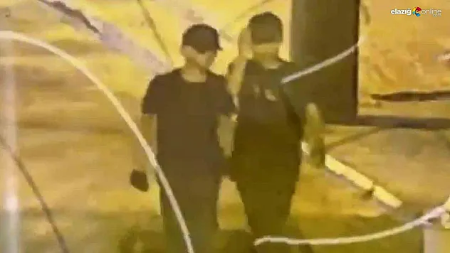 Bingöl'de hırsızlık yapan 2 şüpheli yakalandı