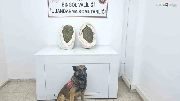 Bingöl'de jandarma ekipleri 10 kiloya yakın esrar ele geçirdi