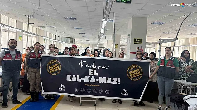 Bingöl'de jandarma ekiplerince KADES tanıtıldı