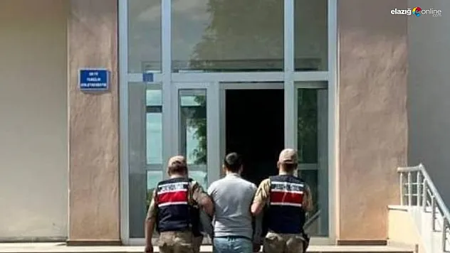 Bingöl'de kesinleşmiş hapis cezası bulunan 2 şüpheli yakalandı