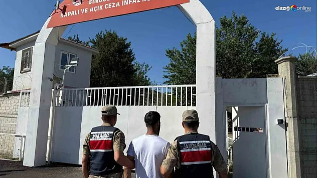 Bingöl'de kesinleşmiş hapis cezası bulunan şahıs yakalandı