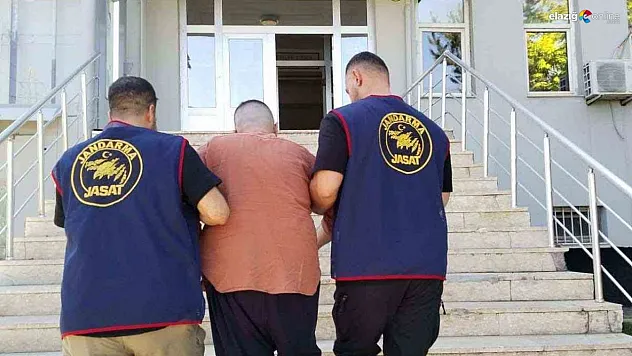 Bingöl'de kesinleşmiş hapis cezası bulunan zanlı yakalandı