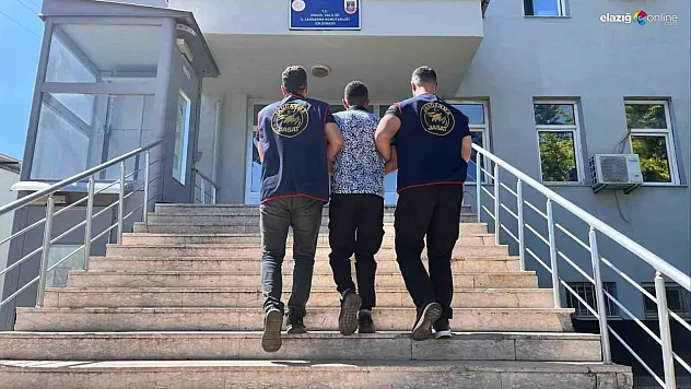 Bingöl'de kesinleşmiş hapis cezası bulunan şahıs yakalandı