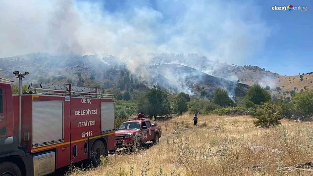 Bingöl'de köyde çıkan yangın ormana sıçradı, müdahale sürüyor