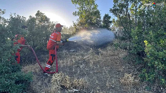 Bingöl'de orman yangını kontrol altına alındı