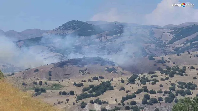 Bingöl'de orman yangını kontrol altına alındı