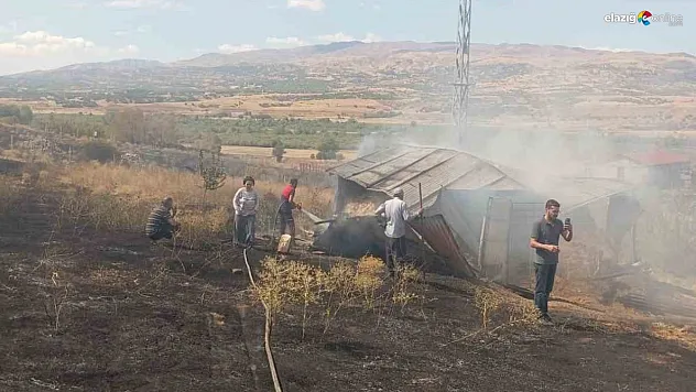 Bingöl'de örtü yangını