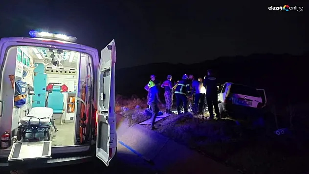 Bingöl'de otomobil ata çarptı: 2 yaralı