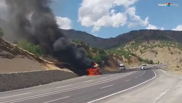 Bingöl'de seyir halindeki tır alevlere teslim oldu