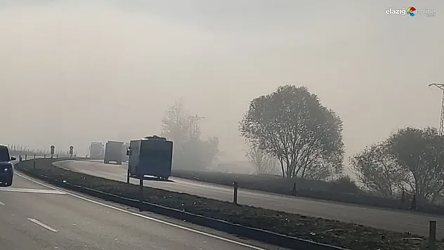 Bingöl'de sis etkili oldu