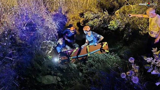 Bingöl'de trafik kazası: 2 yaralı