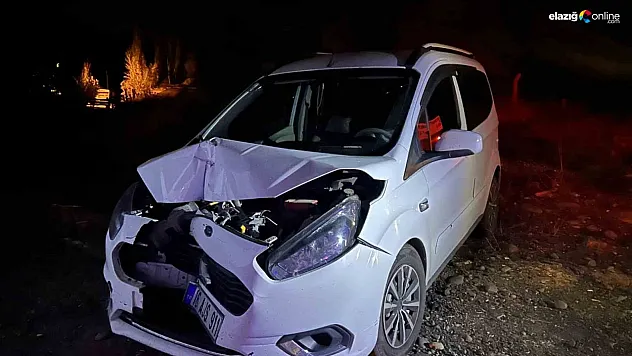 Bingöl'de trafik kazası: 2 yaralı