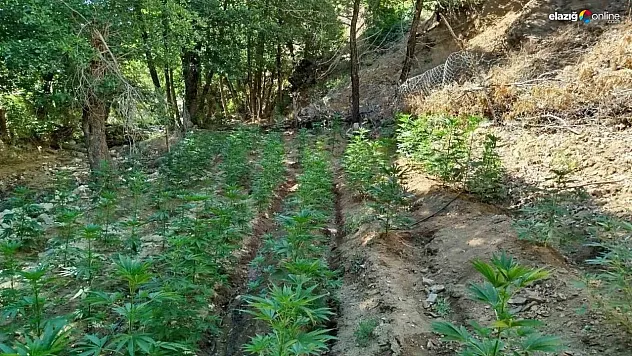 Bingöl'de uyuşturucu operasyonu