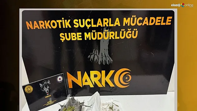 Bingöl'de uyuşturucu operasyonu: 2 şüpheli yakalandı