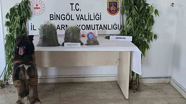 Bingöl'de uyuşturucuyla mücadele