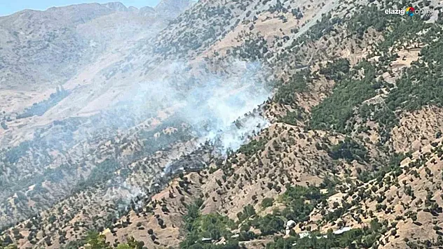 Bingöl'deki orman ve arazi yangınları söndürüldü