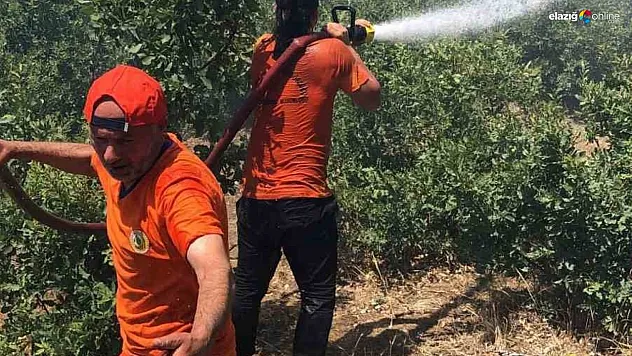 Bingöl'deki orman yangını kontrol altına alındı