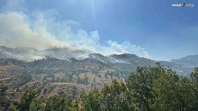 Bingöl'deki orman yangını kontrol altına alındı