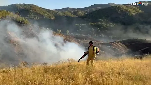 Bingöl'deki orman yangını kontrol altına alındı