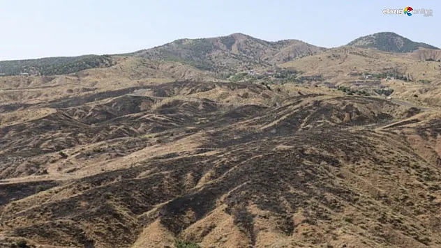 Bingöl'deki orman yangını söndürüldü