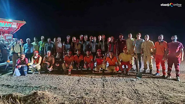 Bingöl'deki orman yangını söndürüldü