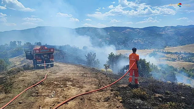 Bingöl Valiliği orman yangınlarına karşı uyardı