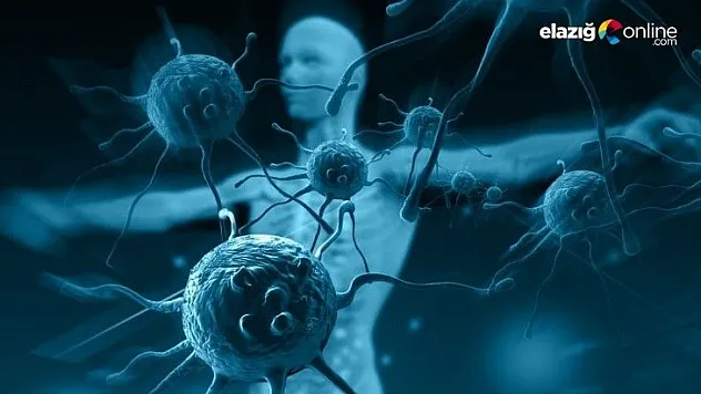 Bir defa koronavirüsü yenen ikincisinden 17 yıl korunuyor