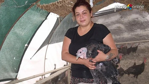 Bir yılda 200 bin adet tavuk ve hindi satışı yaptı