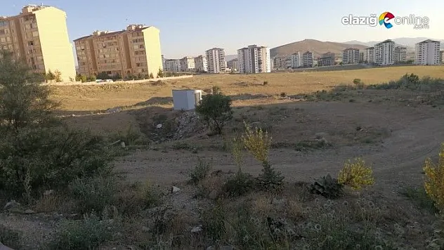 Bu alan ranta mı kurban edilecek ?