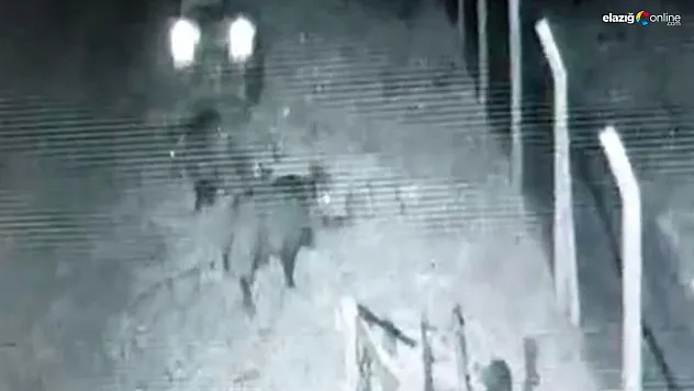 Bu kadar rahatlık ev sahibinde yok!