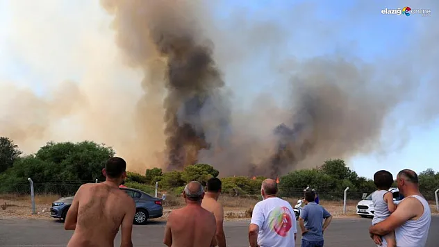 Bursa, Antalya ve Muğla'da eş zamanlı orman Yangınları! İşte yangın ile ilgili son durum