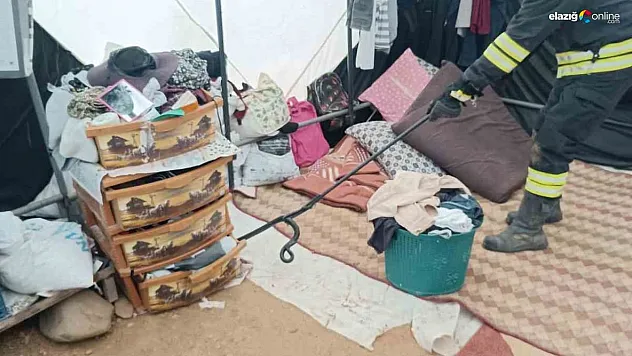 Çadıra giren yılan paniğe neden oldu