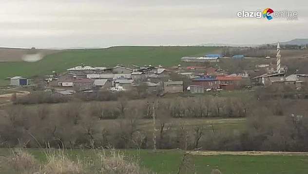 Çemişgezek'te bir köy mutasyonlu virüs nedeniyle karantinaya alındı