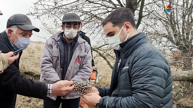 Çemişgezek'te Dev Tarım Projesi Hayata Geçiyor!