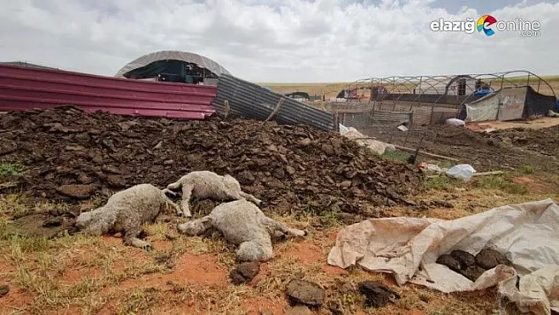 Çemişgezek'te fırtına çatıları uçurdu, hayvanları telef etti