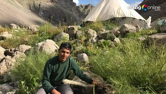 Çemişgezekli Merdan'ın Büyük Başarısı